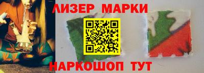 прущие грибы Будённовск