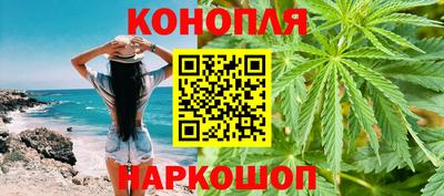 прущие грибы Будённовск