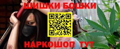 прущие грибы Будённовск