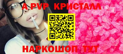 прущие грибы Будённовск