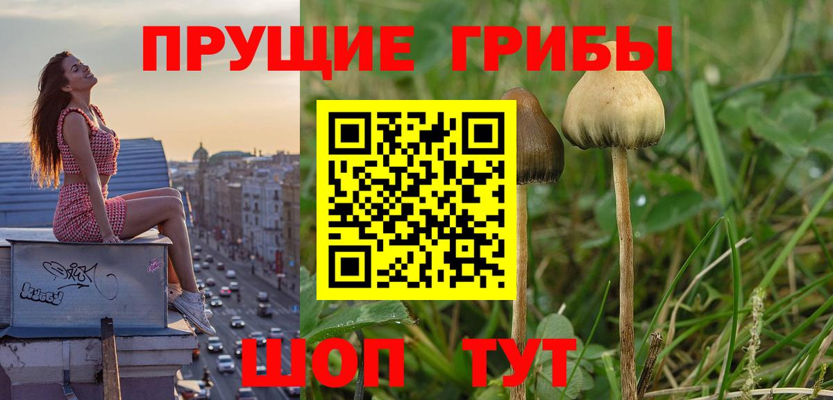 Псилоцибиновые грибы Psilocybe  Галлюциногенные грибы мухоморы  Новотроицк  Вход с VPN 